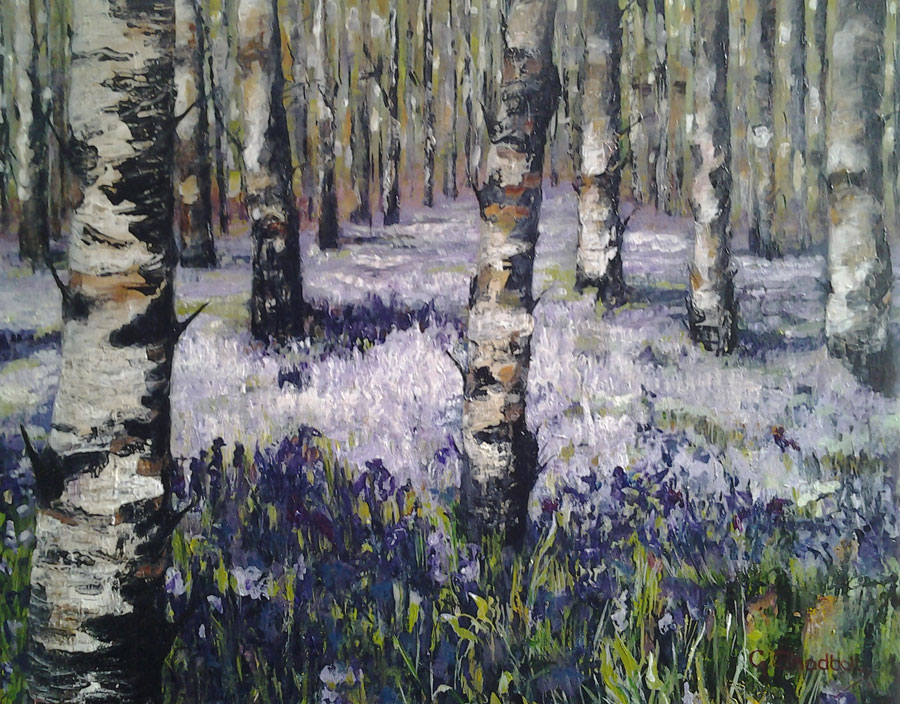 Bluebells and birches