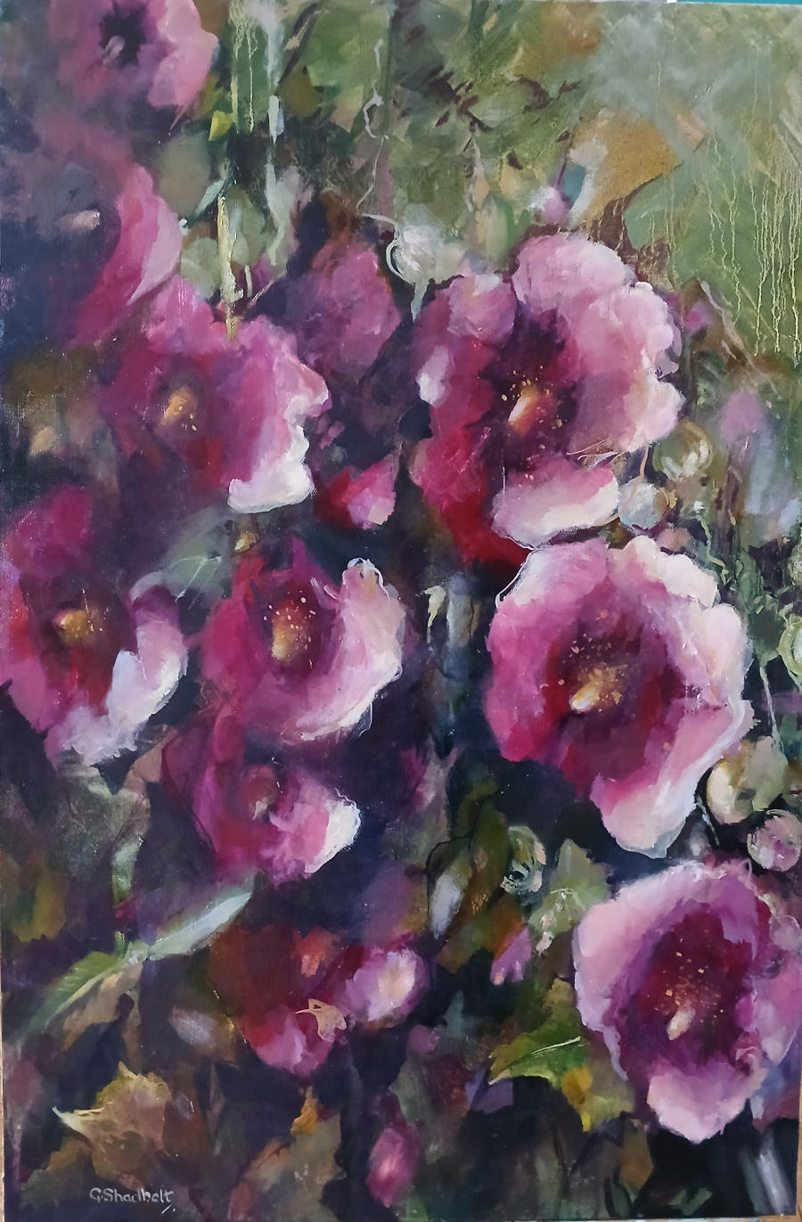 Dark red Hollyhocks