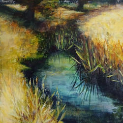 Stream at Charlecote