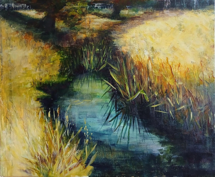 Stream at Charlecote